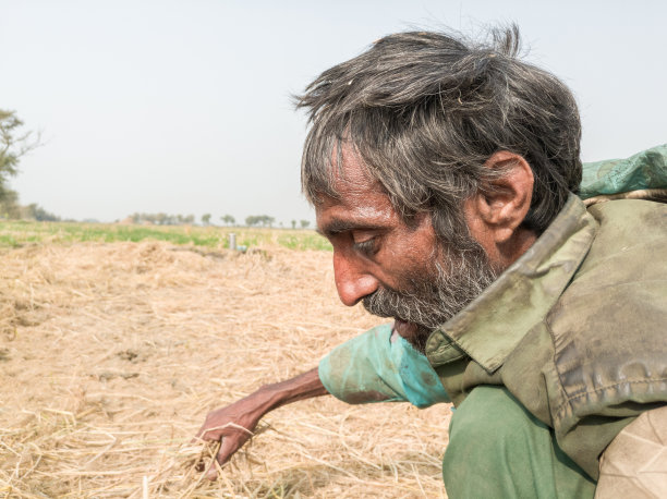 一个又老又饿的大胡子男人正在为他的孩子们收集食物，因为贫困图片下载