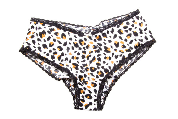 女人的内裤在豹纹孤立的白色图片下载