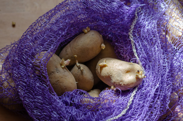 尼龙袋装发芽的土豆图片下载