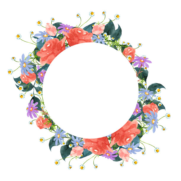 玫瑰和花的水彩插图图片下载