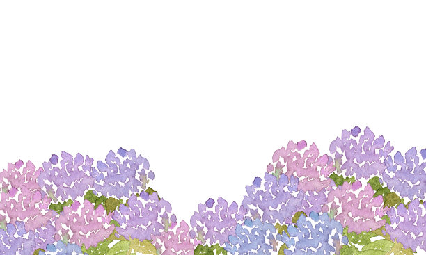水彩绣球花图片下载