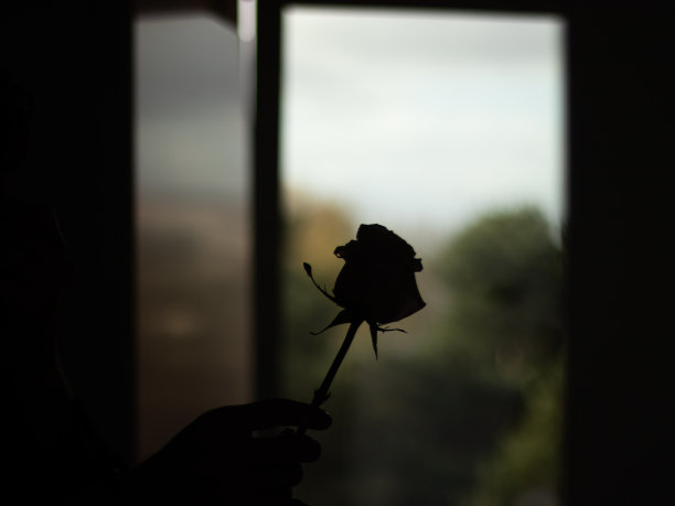 剪影窗花玫瑰黑图片下载