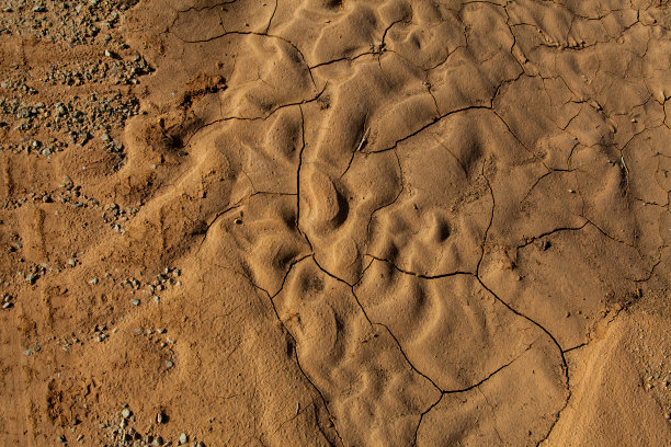 沙漠水坑干地图片下载
