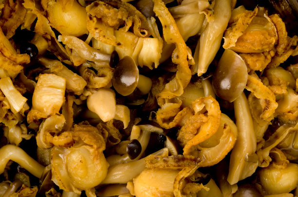 日本料理“hotate to Shimeji no amakara-ni”，尝起来又甜又咸。配料扇贝、shimeji蘑菇、酱油、糖图片下载