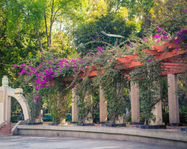 公园里的花架图片下载