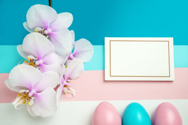 粉蓝色的复活节彩蛋在柔和的颜色柄背景与文字和兰花的空间图片下载