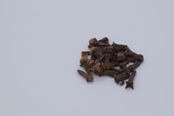 近距离的丁香对白色的背景图片下载