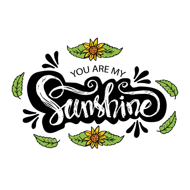 你是我的阳光手字。励志名言。图片下载