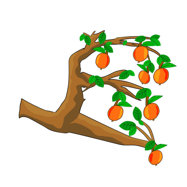 苹果在树枝上，绿叶孤立在白色的背景上。图片下载