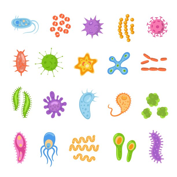 细菌和病毒色彩斑斓，微生物致病物体。不同类型的细菌、病毒、冠状病毒、纤毛、链球菌、真菌、原生动物。矢量插图。图片下载