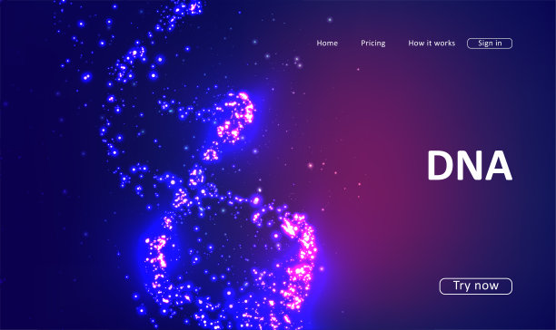 网站的登录页面图片下载