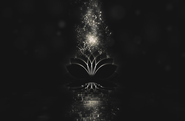 抽象背景与荷花图片下载