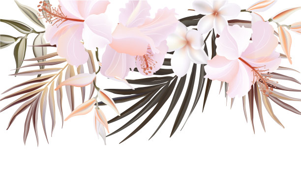 水彩手绘木槿和棕榈花旗帜孤立在白色的背景。野生热带草本用于卡片，婚礼请柬，海报，保存日期或问候设计。向量图片下载