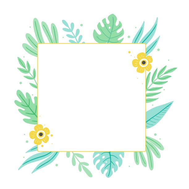 用于文字装饰的热带叶架。矢量图图片下载