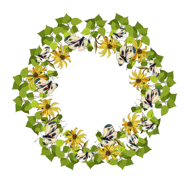 圆花圈框白桦树的嫩叶绿枝，勾勒出卡通图案，绘有绿叶蝴蝶和黄花。黑白色的孤立。矢量主题的春、夏季节。图片下载