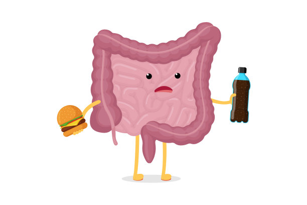 可怜的肠病人物，还有汽水瓶和汉堡。腹腔消化排泄人体内部不健康的器官。营养不良快餐消化不良的概念矢量插图图片下载
