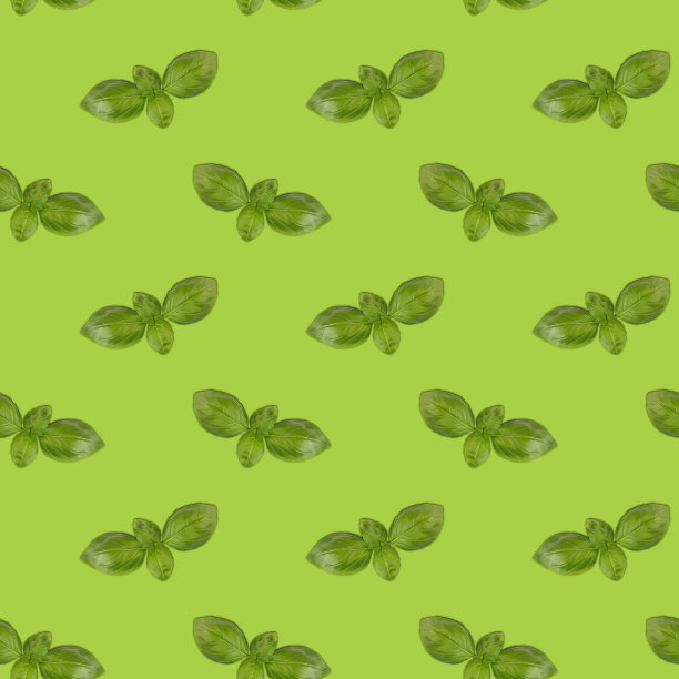 绿色背景上的罗勒图案，正方形图片下载