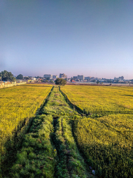 美丽的早晨图片下载