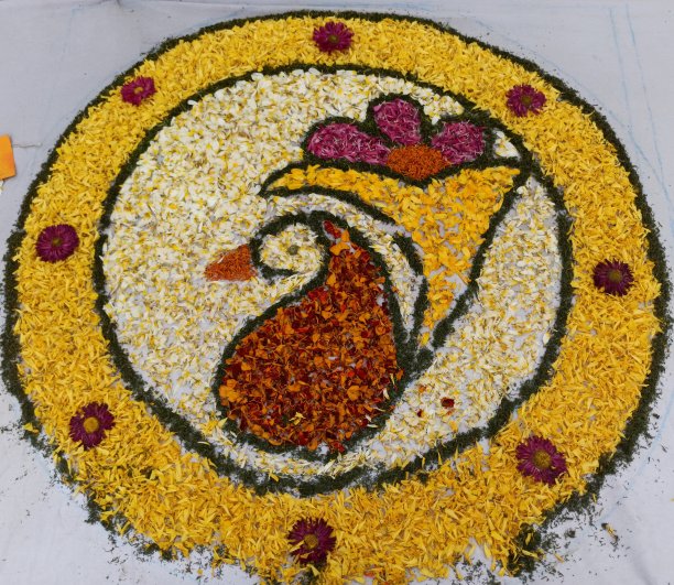 美丽的设计由花图片下载