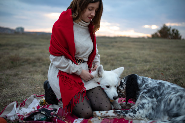 一个女孩和两只狗在毯子上的公园库存照片图片下载