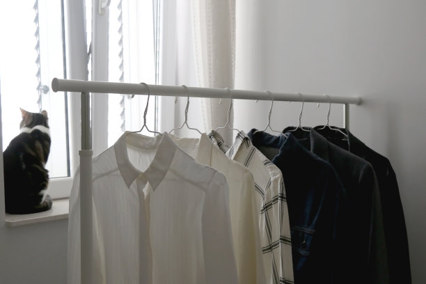 衣柜和猫图片下载