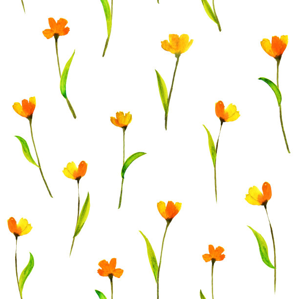 水彩无缝黄花图案。春天水彩插图，题词或照片模板图片下载