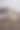 一只狗站在山上的绿色帐篷前图片下载