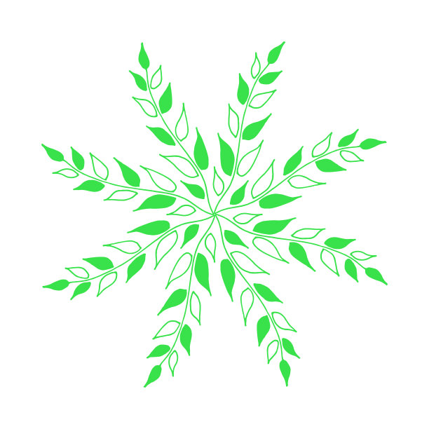 手绘圆形花圈与树枝，叶孤立在白色背景。图片下载