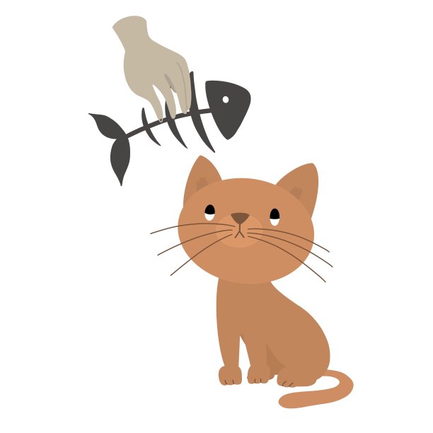 流浪小猫的喂养概念：姜黄色小猫看着人手中的鱼骨素材图片