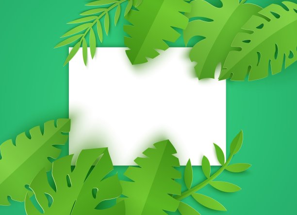 丛林叶剪纸风格与白色sheet在绿色的背景。季节性横向海报模板。异国情调的热带棕榈巨叶躺在角落里，矢量边框图片下载