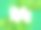丛林叶剪纸风格与白色sheet在绿色的背景。季节性横向海报模板。异国情调的热带棕榈巨叶躺在角落里，矢量边框图片下载