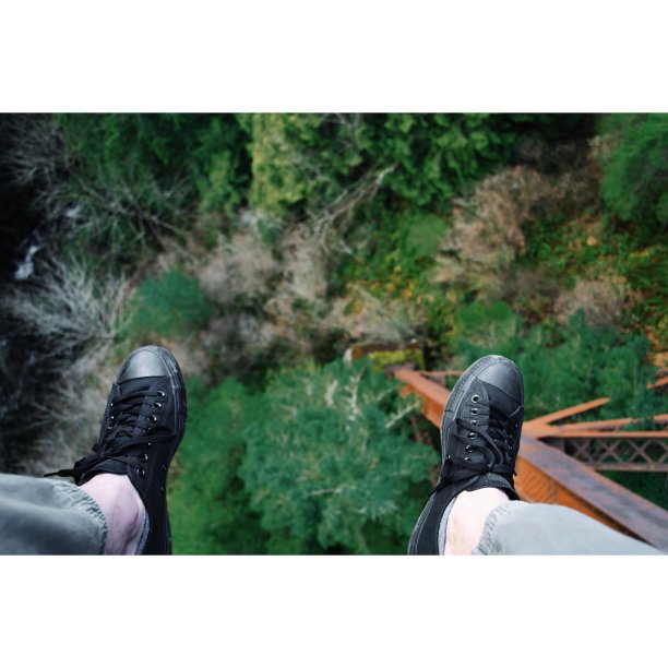 一直往上图片下载