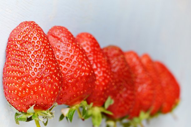 成熟的新鲜有机草莓在蓝色的背景，放置文字。多汁的夏日浆果。图片下载