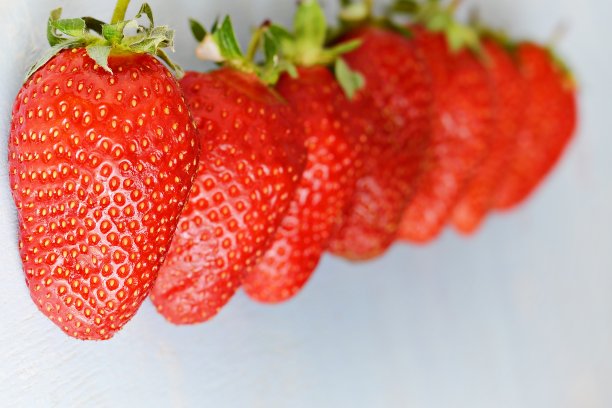 成熟的新鲜有机草莓在蓝色的背景，放置文字。多汁的夏日浆果。图片下载