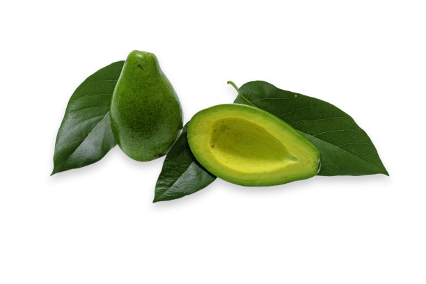 牛油果美洲鳄梨白背景摄影工作室拍摄图片下载