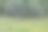 在挪威森林里散步的驼鹿。午夜时分拍摄的照片，午夜太阳。图片下载