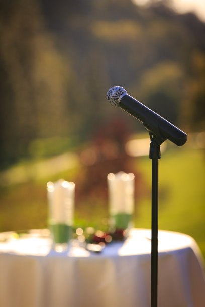 婚礼上站在台上的麦克风图片下载