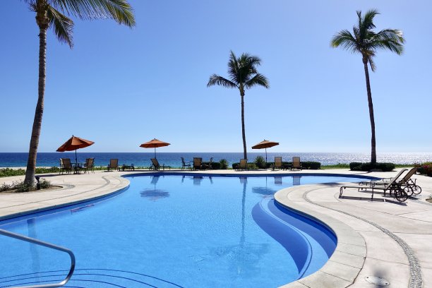 在游泳池边图片下载