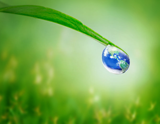 地球在水滴下的绿叶下，在天然绿草模糊的背景下，地球日图片下载