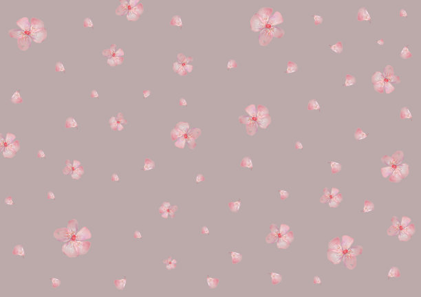 樱花色花卉背景。图片下载