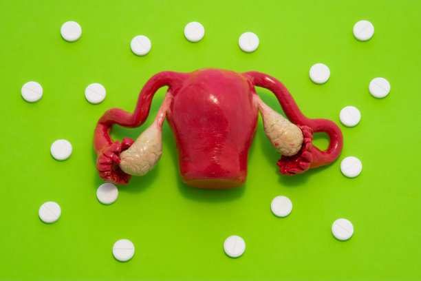 绿色背景为女性子宫卵巢解剖模型，四周为白色片状物，形成圆点花纹点缀。概念艺术照片用于妇科、妇女生殖健康图片下载