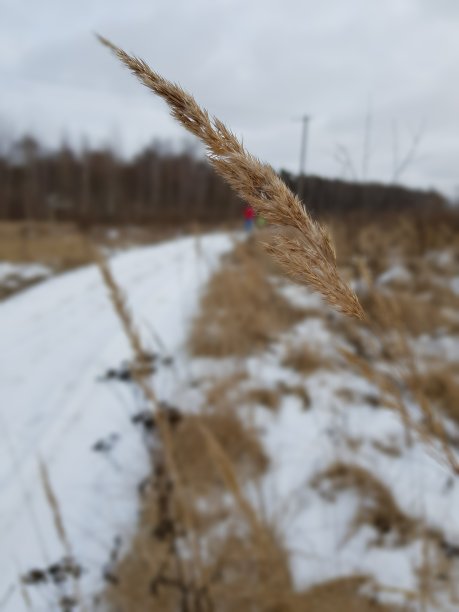 1月在俄罗斯图片下载