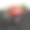 原来不寻常的花束玫瑰，兰花和各种红色水果在黑色的背景图片下载