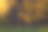纹理背景。古色古香的秋色景色。橙色的自然背景。创意艺术墙纸。艺术摄影。森林里的秋天。秋天树叶。秋天的风景-黄树和秋天的树叶。艺术作品。图片下载