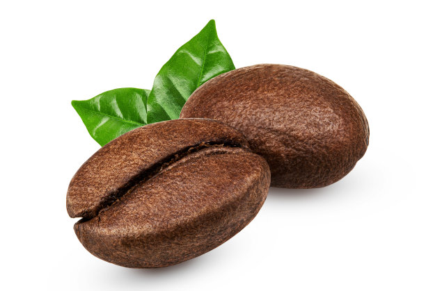 白色背景上的咖啡豆和孤立的叶子图片下载