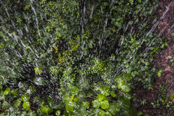 雨图片下载