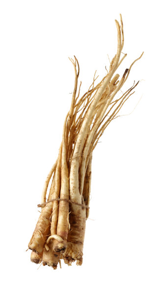 风铃草(Platycodon grandiflorus)图片下载