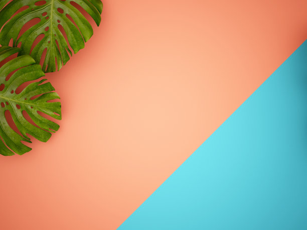 复制空间与树叶和彩色纸背景夏季概念图片下载