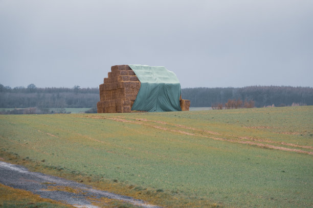 茅草屋一般大的茅草屋，站在草地上，盖着一块绿色的油布图片下载