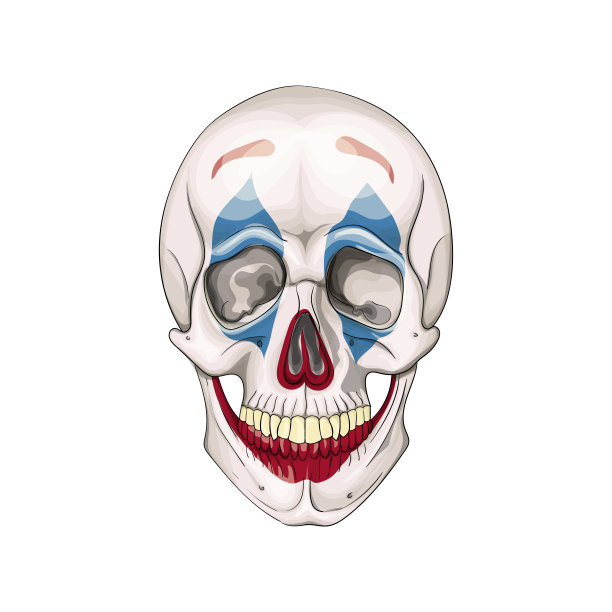 小丑的头骨。死小丑脸万圣节图标图片下载